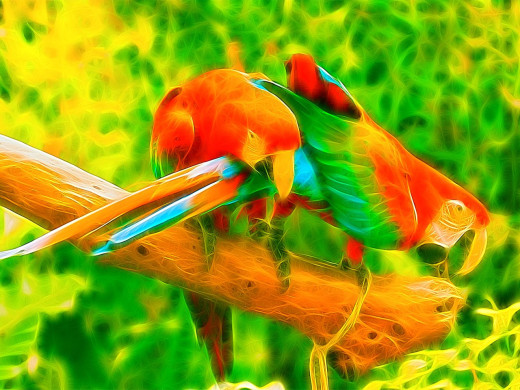 16656 (a): :1280x960